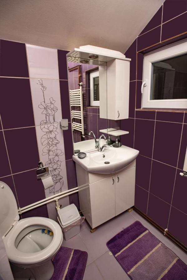 Apartmani Sp Jovanovic Crni Vrh Dış mekan fotoğraf